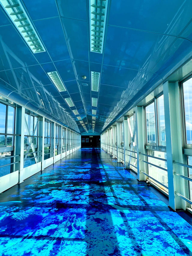 【静岡おでかけスポット】沼津港のランドマーク✨ 沼津港大型展望水門びゅうお