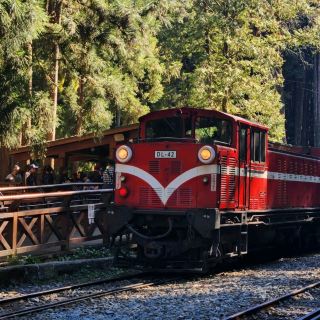 Autumn Alishan