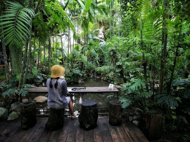 The Forest สวนป่าคาเฟ่ จ.อุตรดิตถ์