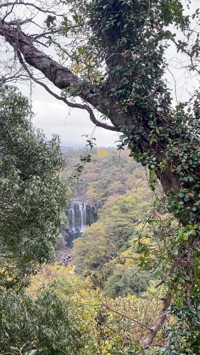 Cheonjeyeon Waterfall NEAR Shilla Hotel #Jeju