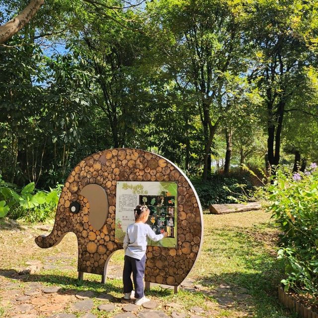 都市中的綠洲🏕