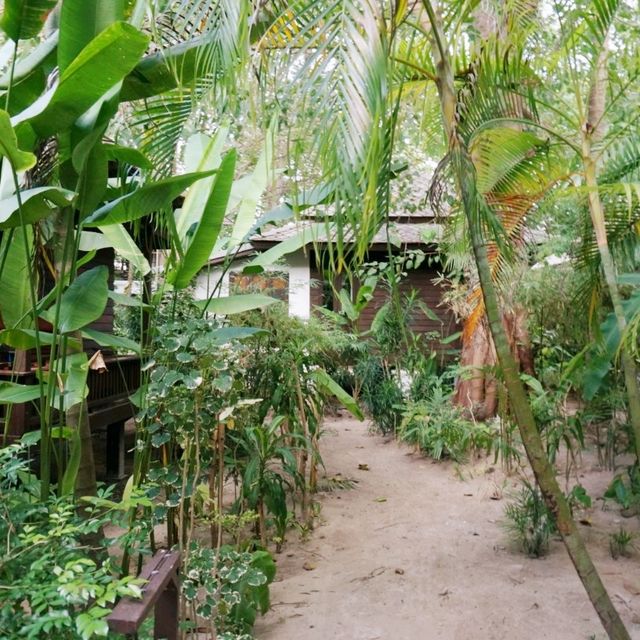 🇹🇭코사무이 차웽 비치에서 머물기 좋은 리조트-chaweng garden beach resort
