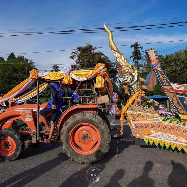 ประเพณีชักพระของชาว อ. คุระบุรี จ. พังงา