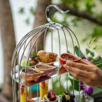 Tree Pods , Afternoon Tea on Tree 
