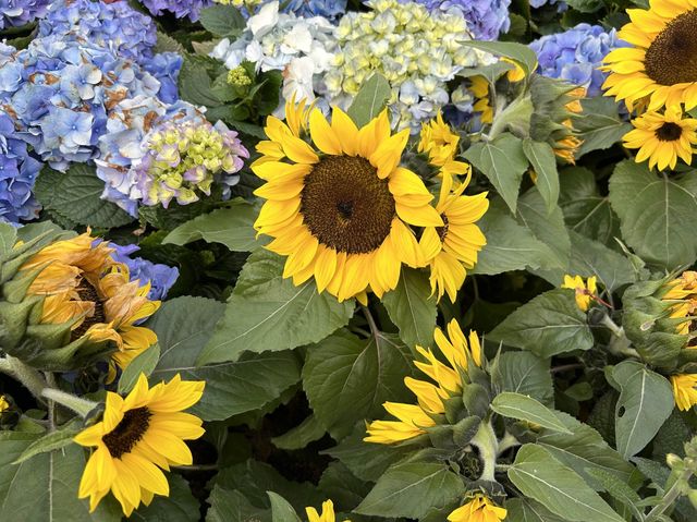 “Bliss in Bloom” Hong Kong Flower Show 