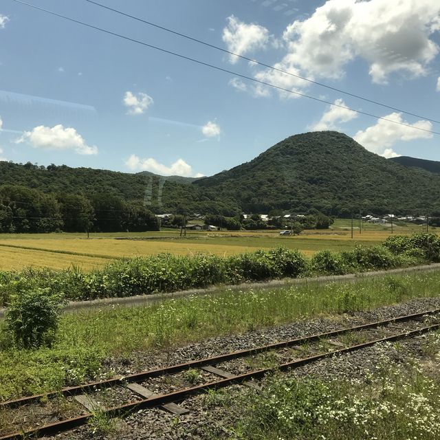 大分県🫡