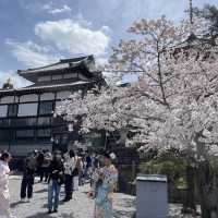 京都清水寺：賞櫻參拜🌸逛逛拍照地分享