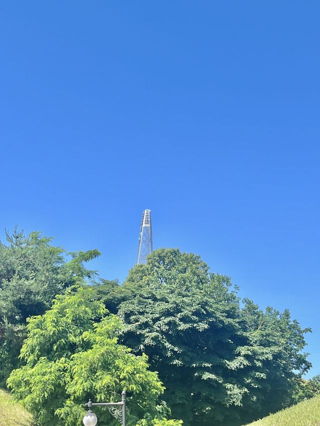🌳서울 피크닉 명소로 유명한 올림픽공원 나홀로나무🌳