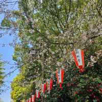 東京必到景點之上野恩賜公園