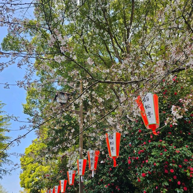 東京必到景點之上野恩賜公園