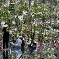 Engage your senses with this interactive arts
