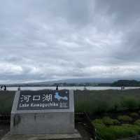 【ペットとお出かけ】ラベンダーまつり開催中の大石公園へ！