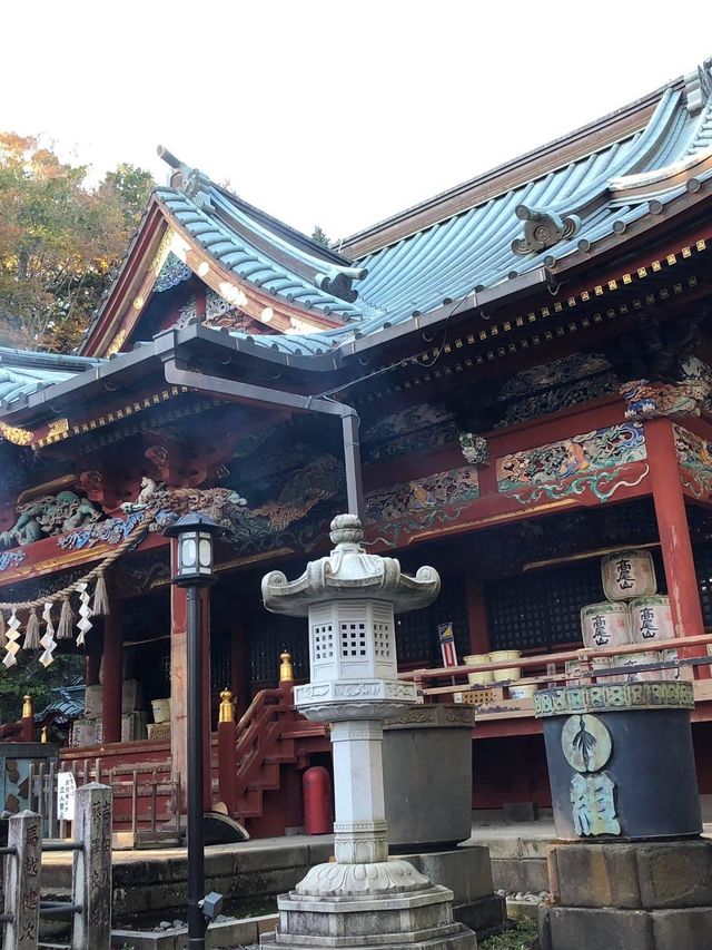 東京市內必去🤪高尾山藥王院😚一日遊推薦😎親子遊最佳景點