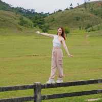 “ระนอง” ไม่ได้มีดีแค่ทะเล 🌾