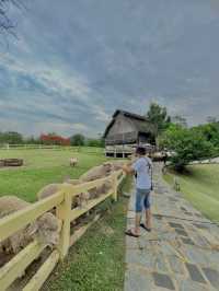 เขาใหญ่ เขาใจ หน้าฝน 🌳🌱