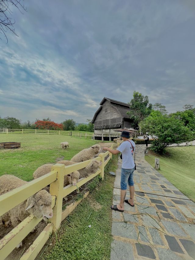 เขาใหญ่ เขาใจ หน้าฝน 🌳🌱
