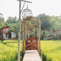 บ้านนาก๋างโต้ง Baan Na Kang Tong 🌾 จ. น่าน