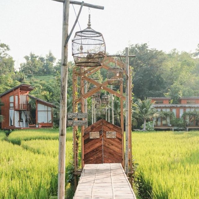 บ้านนาก๋างโต้ง Baan Na Kang Tong 🌾 จ. น่าน