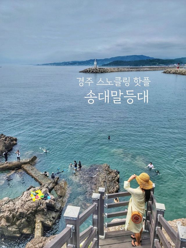 등대도 보고 스노클링도 하는 경주 여름휴가 명소🩵