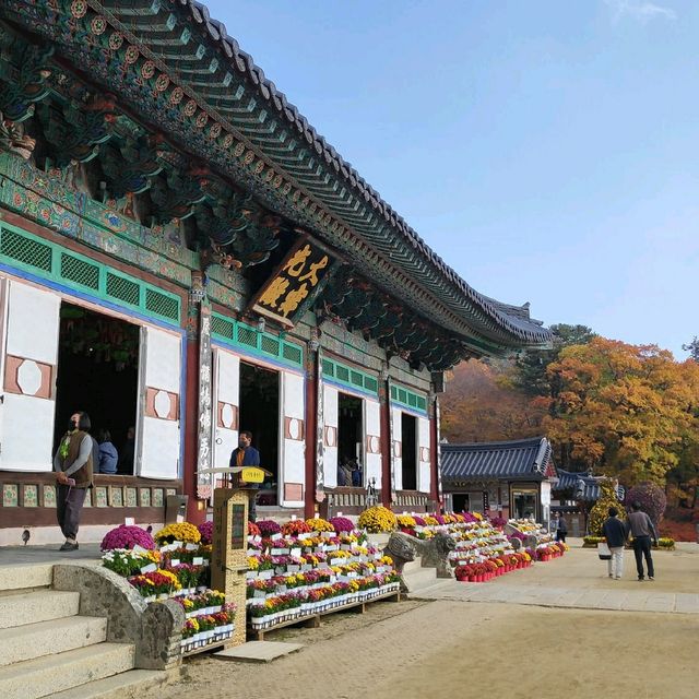 천년의 역사가 깃든 합천 해인사