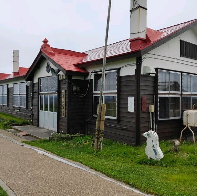 【礼文島】雨が降った時の北海道礼文島の楽しみ方☂