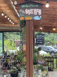 조금 걷기만 해도 기분이 좋아지는 곳 “허브나라농원”