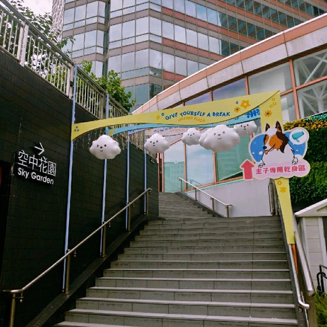 葵芳新都會廣場「毛孩水動 • 樂」夏日狂歡派對 + 都市農莊