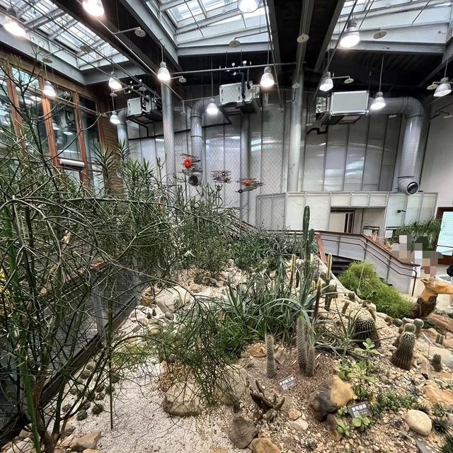 迷失在綠意中🌿🌺 台北植物園