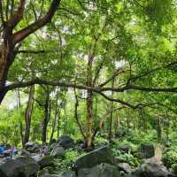 Phu Cuong waterfall