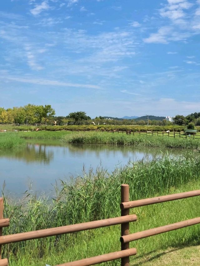 서울근교 힐링스팟 💚🌿갯골생태공원