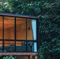 บ้านต้นไม้กลางป่าริมลำธาร บ้านในหมง treehouse 