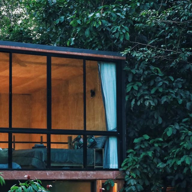 บ้านต้นไม้กลางป่าริมลำธาร บ้านในหมง treehouse 