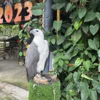 Visit the animals at Avilon Zoo
