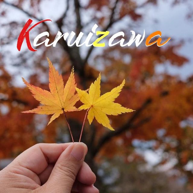 🇯🇵 𝑲𝒂𝒓𝒖𝒊𝒛𝒂𝒘𝒂 𝒊𝒏 𝑨𝒖𝒕𝒖𝒎𝒏 🍂 