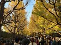 Autumn In Tokyo