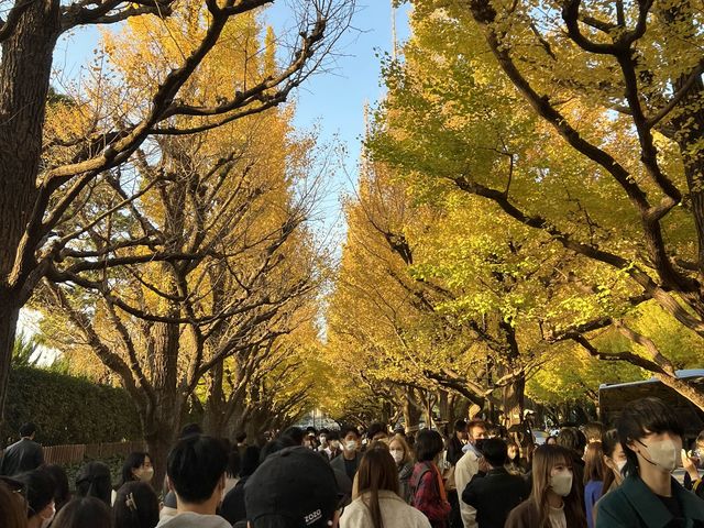 Autumn In Tokyo