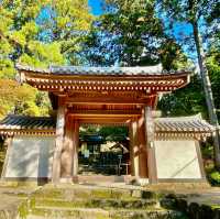 Saimyoji Serenity: Autumn's Radiance Revealed