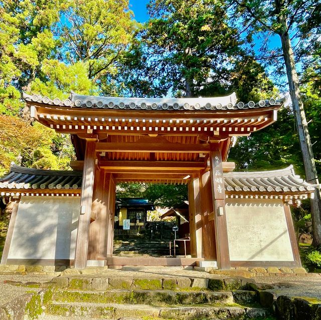 Saimyoji Serenity: Autumn's Radiance Revealed