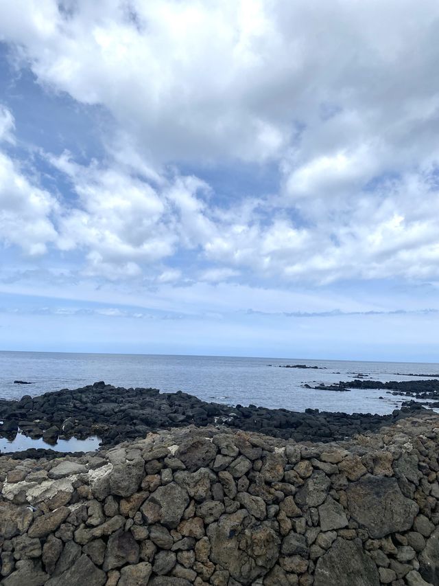 떠나자! 제주도 우도🏝️