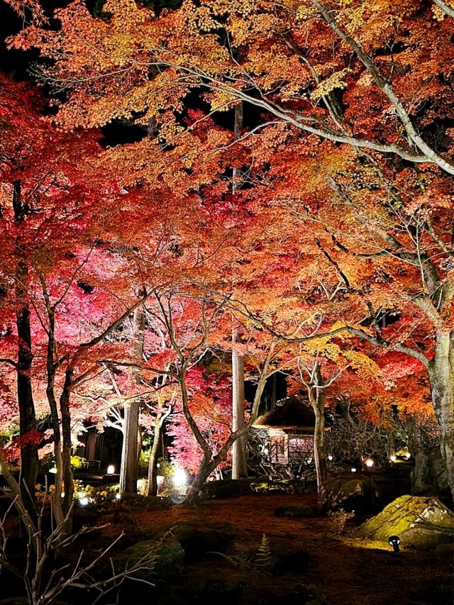 【ROKU京都】京都で最大の屋外温泉プール&紅葉が美しい日本庭園