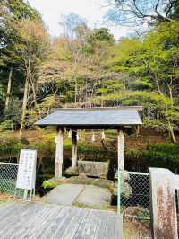 【群馬県/三夜沢赤城神社】2023年行ってよかった！群馬県の神社⑤