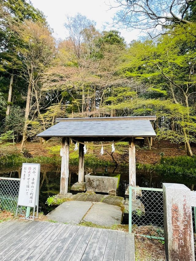 【群馬県/三夜沢赤城神社】2023年行ってよかった！群馬県の神社⑤