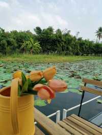 สูดอากาศบริสุทธิ์ ที่บาริสุทธิ์นครปฐม​