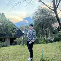 ที่นี่แปกแซม
