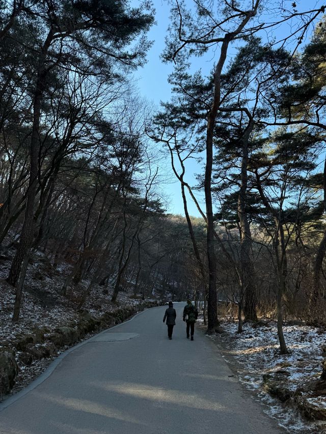 국내여행 추천지! 양평 “용문사”, “두물머리”