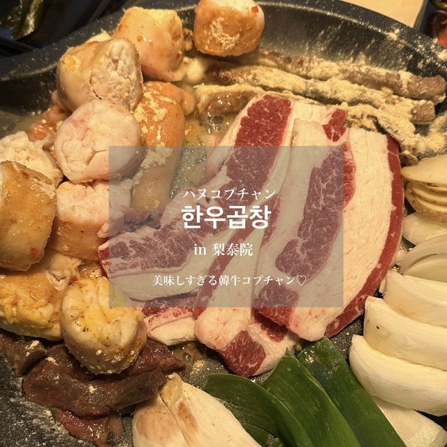 韓国:梨泰院˗ˏˋ ハヌコプチャン ˎˊ˗