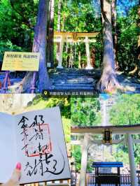 【初詣】2024年にお参りしたい！龍にまつわる神社5選⛩