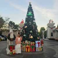  Trees & Co ... คาเฟ่ ที่ไม่ลับย่าน ราษฎร์อุทิศ 