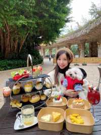 😳🐶果逸寵愛下午茶☕️🍹