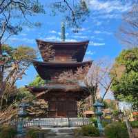 Gotokuji Temple